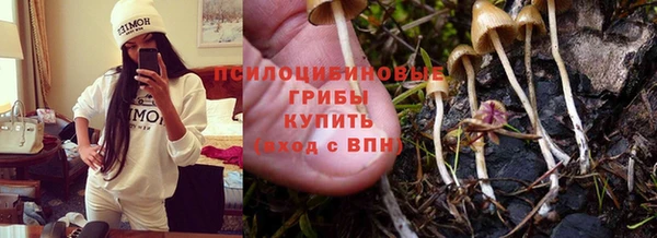 метадон Надым