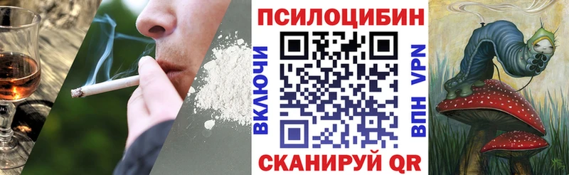 хочу   Хилок  Псилоцибиновые грибы мухоморы 